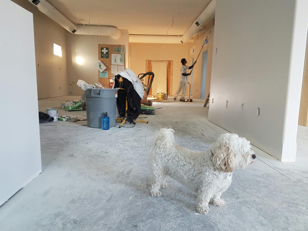 Home Renovation Company